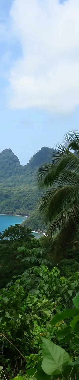 Sei aktiv mitten im Naturparadies der Insel Principe